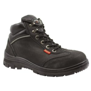 BS 9022 (Premium)