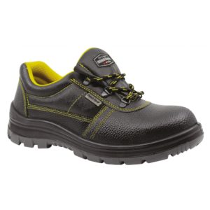 SZ 01 (Economy)
