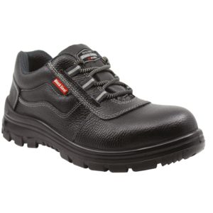 SZ 03 (Economy)